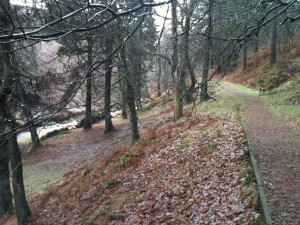 Goyt Valley Woodland Walk