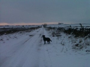 Top Track after snowfall Jan 2013