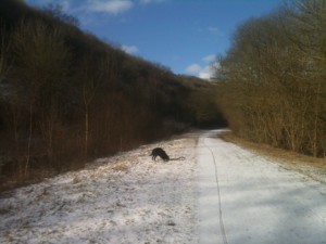 Beautiful blue skies on the Monsal Trail