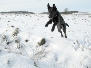 Jims happy when the white stuffs down