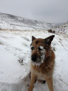 Mr Kasta with frosty beard!