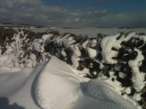 Pretty snowdrift on my dogwalk