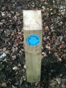 New footpath markers in Grinlow Woods