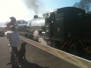 Dog Friendly steam trains