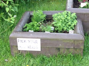 Herb gardens at Caravan Club site