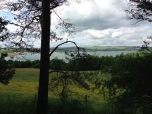 View from Carsington Water caravan site dog walk