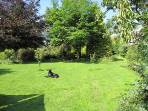 The secure garden at Welyarde