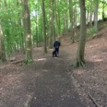 linacre forest path