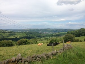View from the Limestone Way