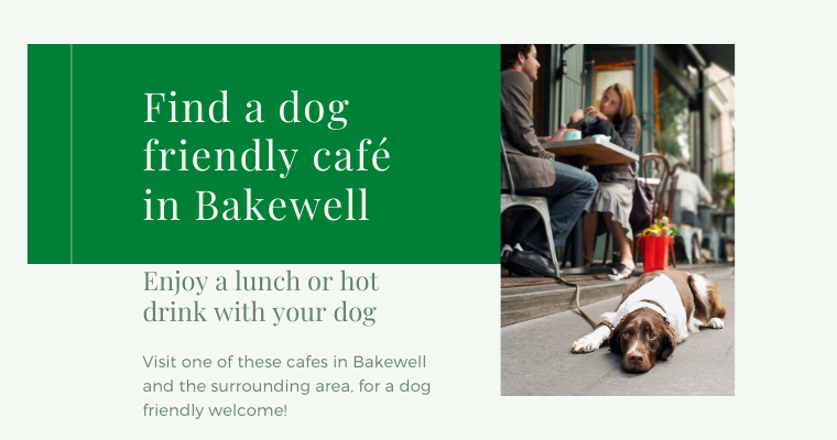 Dog friendly cafe in Bakewell