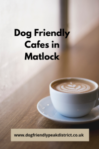 Dog friendly Café Matlock