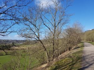 Monsal Trail looking back towards Bakewell Station