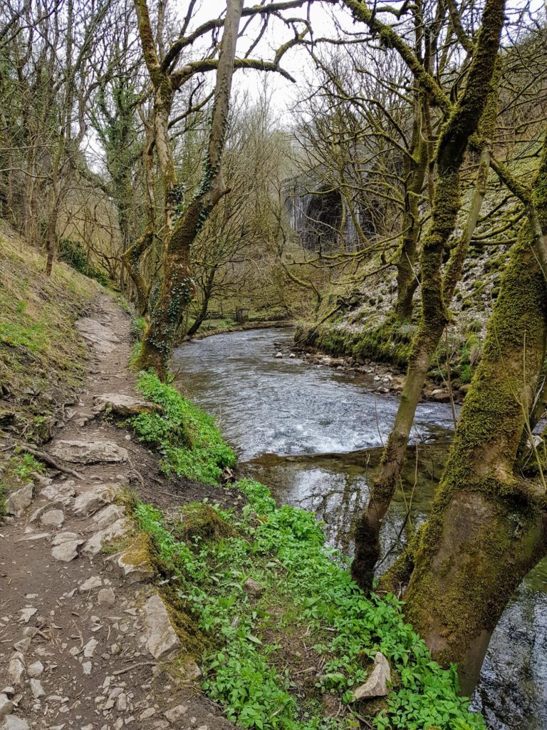 The Wild Rhubarb dog walk in the Peak District.