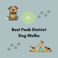 Top 10 Best Peak District Dog Walks