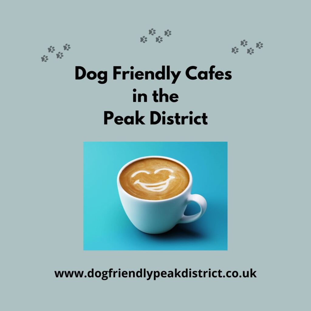This image shows that the page is listing dog friendly cafes in the Peak District.